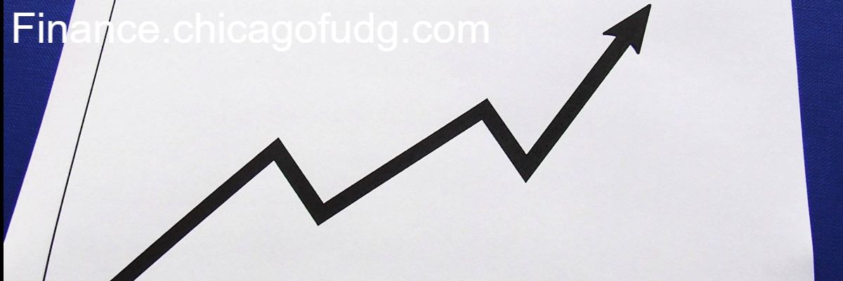 finance.chicagofudg.com